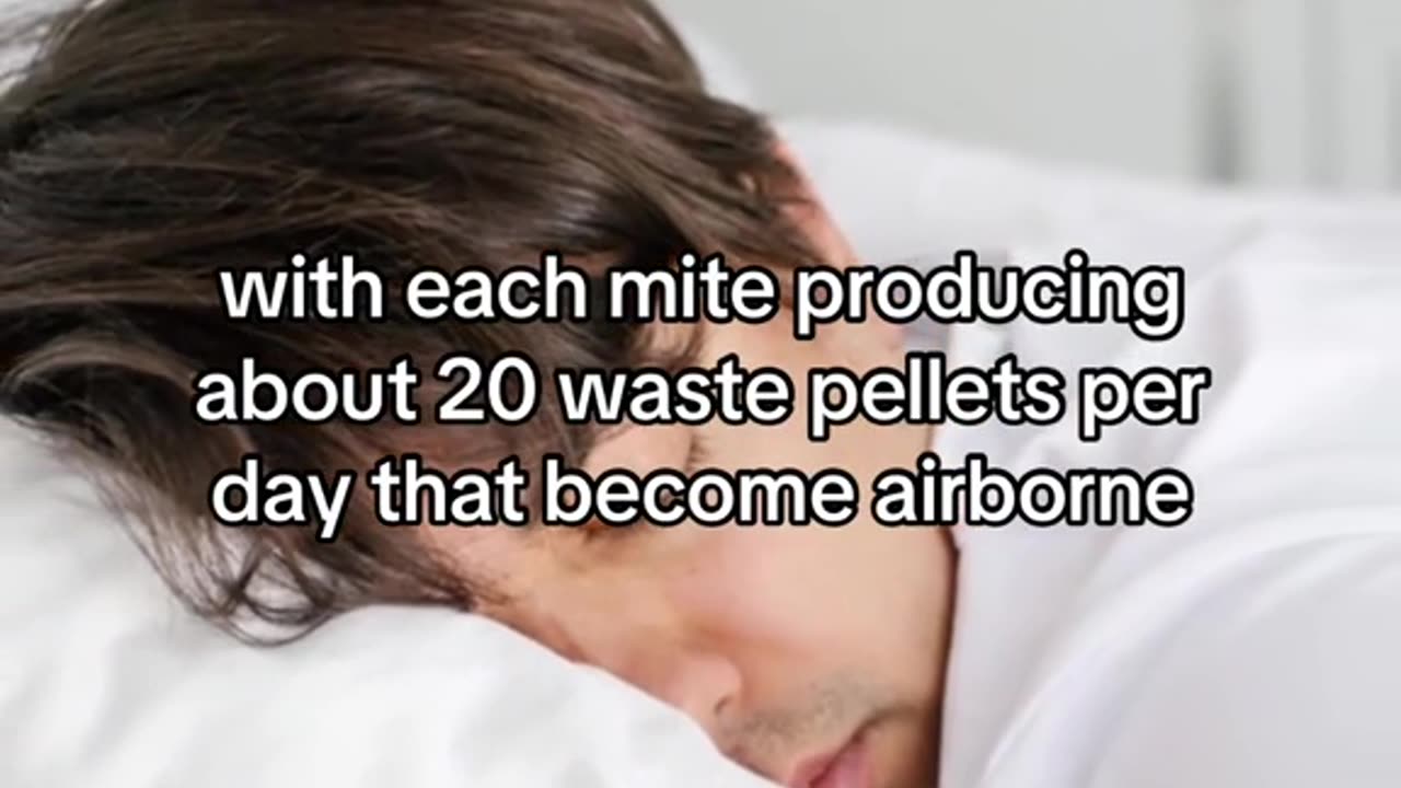 8 CRAZY FACTS ABOUT WHAT’S LIVING IN YOUR MATTRESS