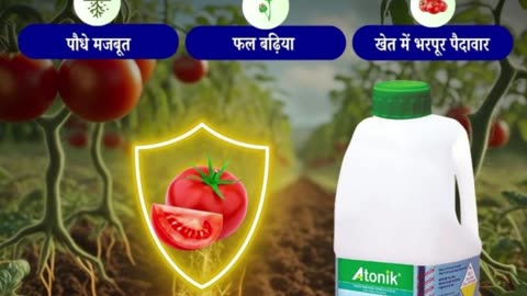 Who Leads in Agrochemical Formulations? NACL India