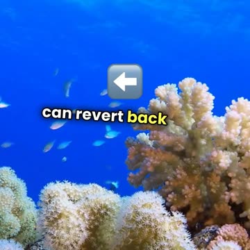 50 Mind-Blowing Animal Facts That Will Change How You See Nature!