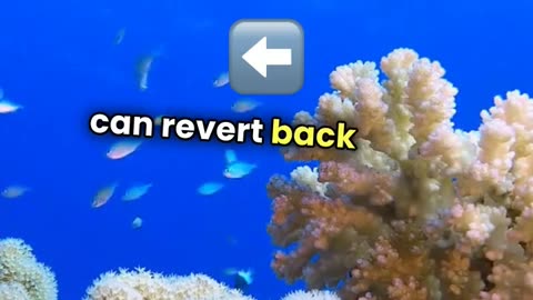 50 Mind-Blowing Animal Facts That Will Change How You See Nature!
