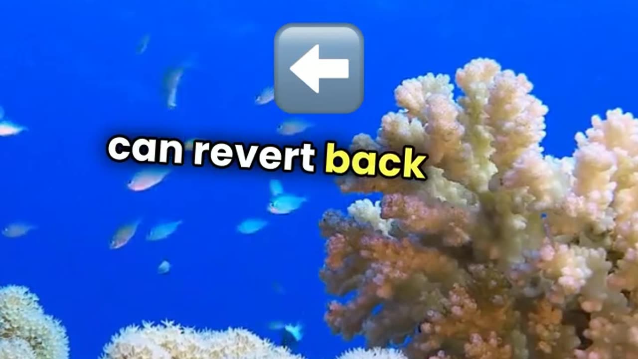 50 Mind-Blowing Animal Facts That Will Change How You See Nature!