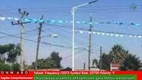 Oduu Ganama ONM-ABO Bitootessa 24-2025 itti dhiyaadhaa!