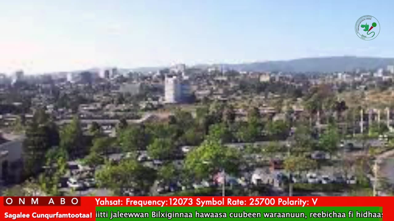 Oduu Waaree ONM-ABO Waxaabajjii 6-2025 itti dhiyaadhaa!