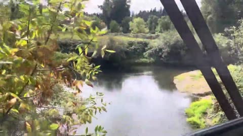 Walking my dogs and spotting abandoned car