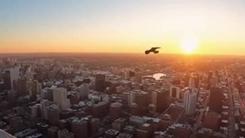 Skyline Falcon Release