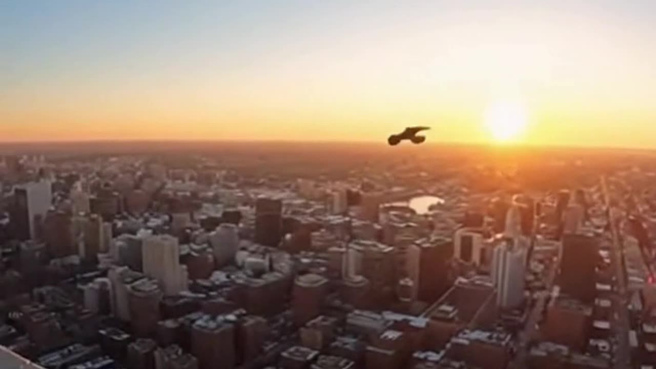 Skyline Falcon Release