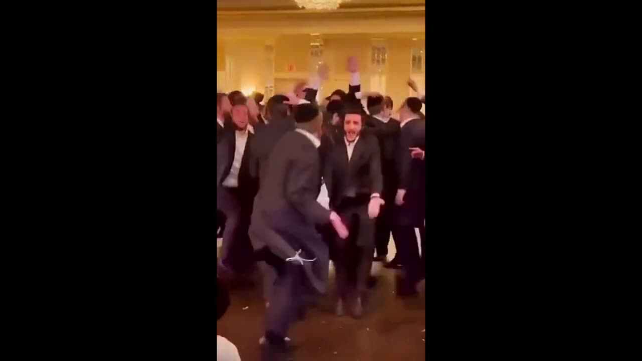 Daily Chaos #8 – Hilarious Memes