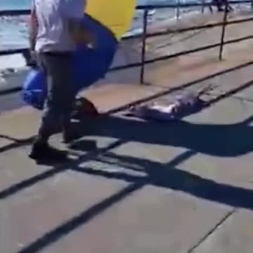 Man arrested for attacking a man wearing Trump inflatable suit