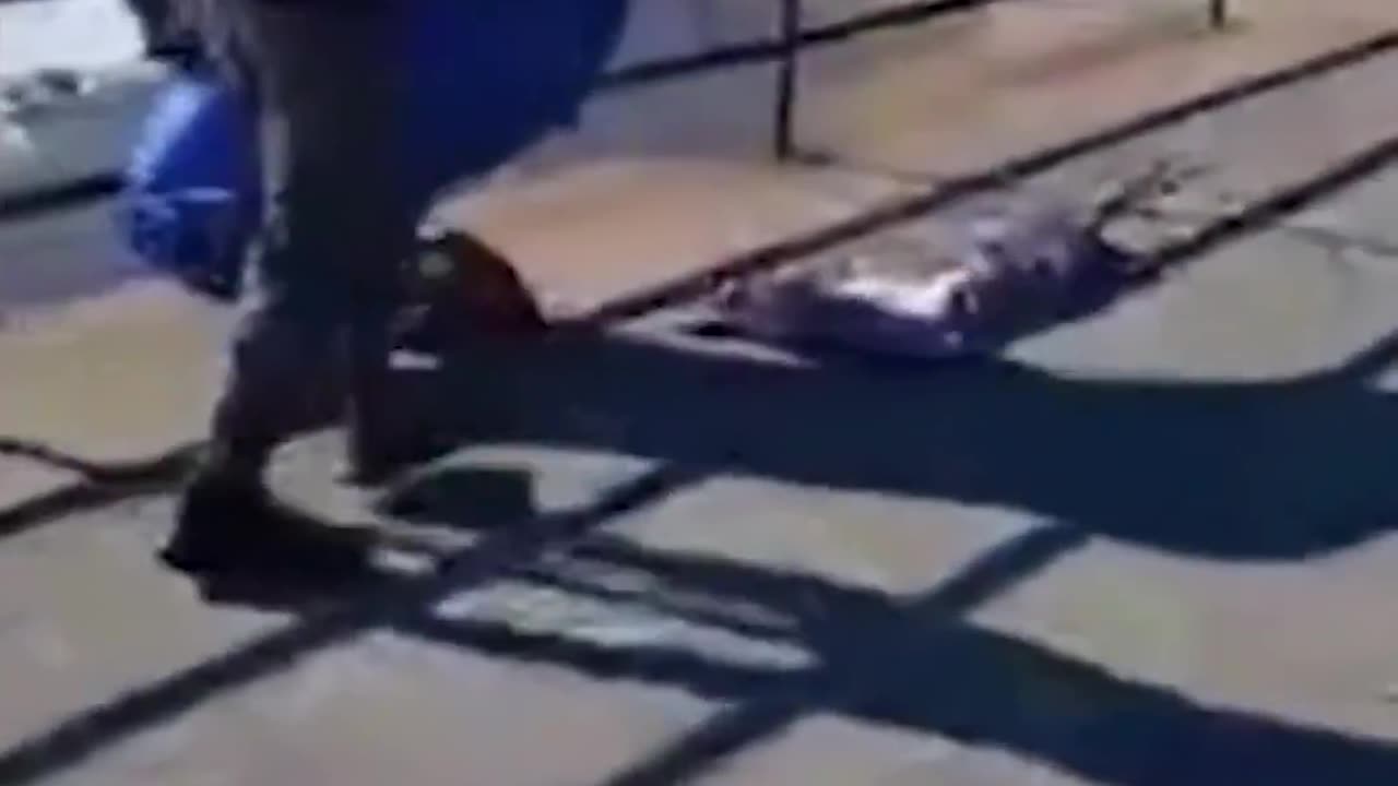 Man arrested for attacking a man wearing Trump inflatable suit