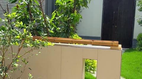Loving Bird