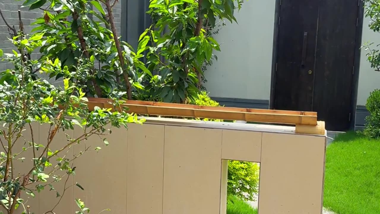 Loving Bird