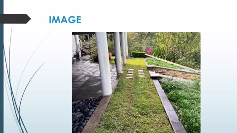 The best Lawn Care in Bilgola Plateau.