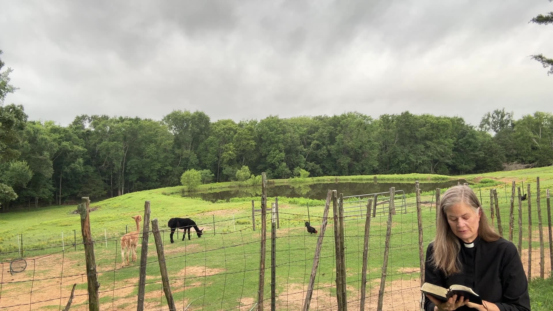 Morning Prayer, Daily Office