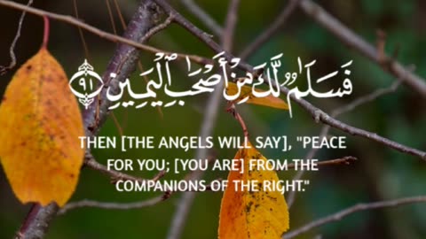 🔥Surah Al-Wāqiah 56:88-91 سورة الواقعة⚡🕊️✨ #Quran #shorts #viral #trending #love #youtubeshorts