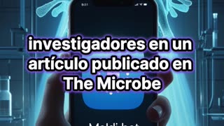 Maldi-Bot: la IA argentina que detecta bacterias.