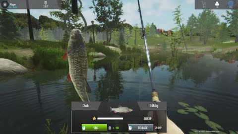 Doing some more fish-y stuff, this time in Germany