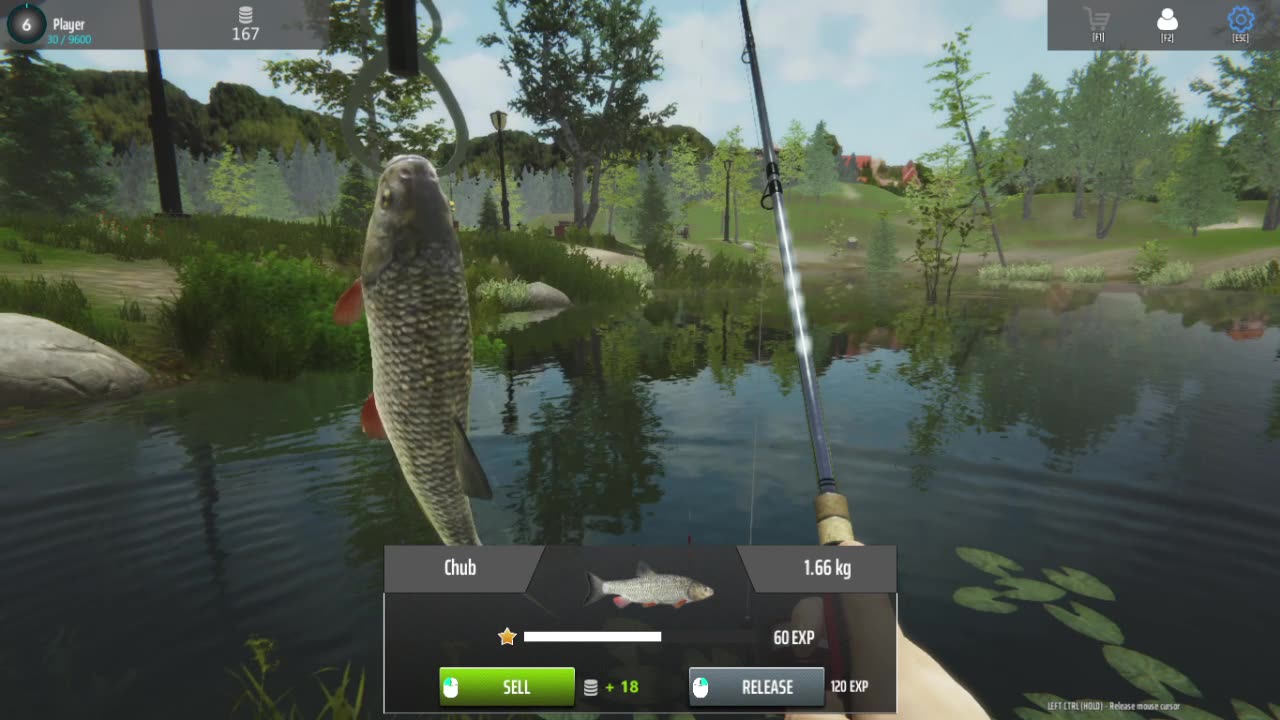 Doing some more fish-y stuff, this time in Germany