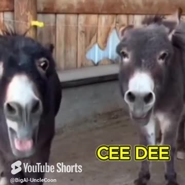 ERIC T. AND CEE DEE KNUCKLEHEADS