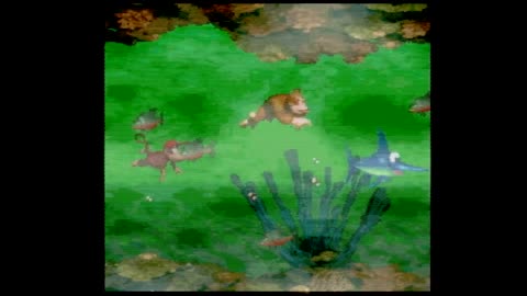 Donkey Kong Country - Aquatic Ambience