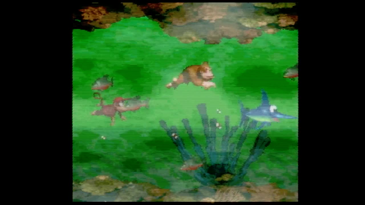 Donkey Kong Country - Aquatic Ambience