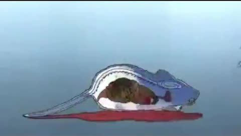 🔥🤬🔥Dr. Christopher Shaw’s Research: Injectable Vaccine Aluminum Causes Rapid Neurotoxicity