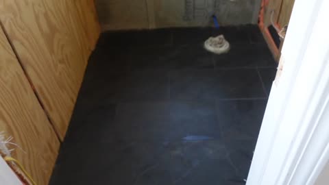Tile Issues. 72 hours after "Dry/Set Time" After 2,000 words. Grout Done & Cement Board On Back Wall