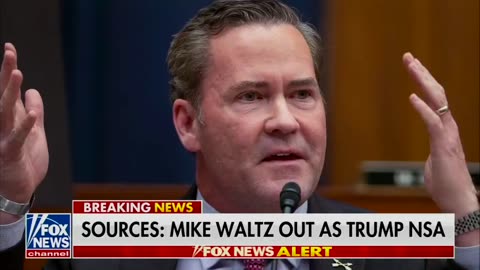 National Security Advisor Mike Waltz and his Deputy Alex Wong have left the Trump Admin