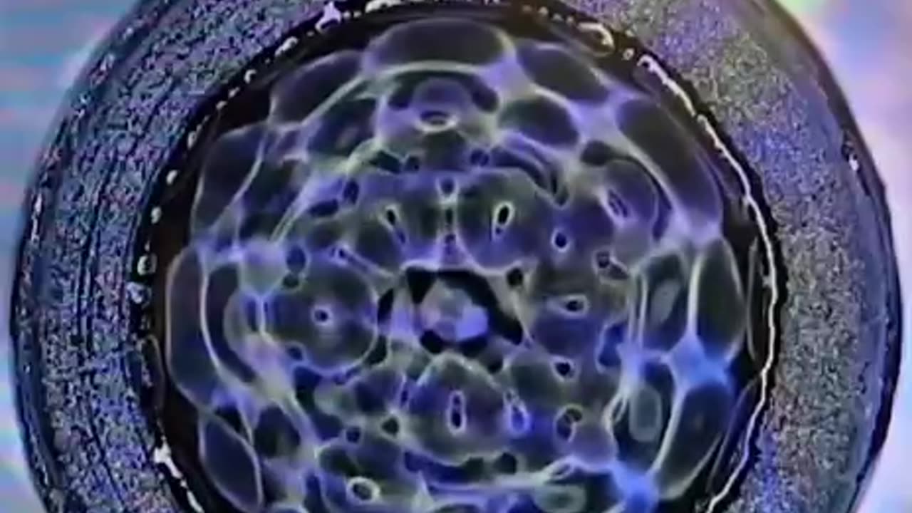 Frequency