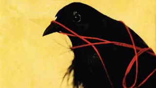 DEATH CAB FOR CUTIE - Transatlanticism