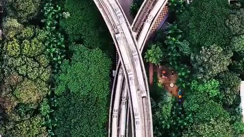 🤯✨ Four Metro Lines Intersecting Simultaneously! | FeedMyCuriosity