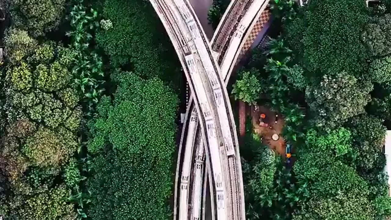 🤯✨ Four Metro Lines Intersecting Simultaneously! | FeedMyCuriosity