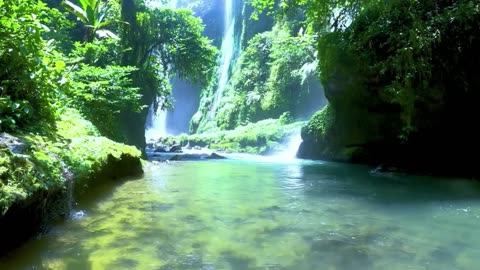 Nature’s Relaxing Sounds: Birds Chirping & Waterfall Ambience in the Deep Forest