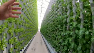 Careers in AgTech | Spill The Greens