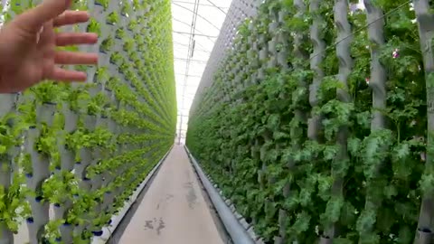 Careers in AgTech | Spill The Greens