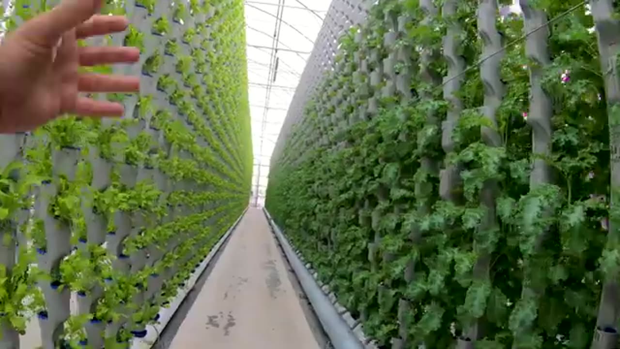 Careers in AgTech | Spill The Greens