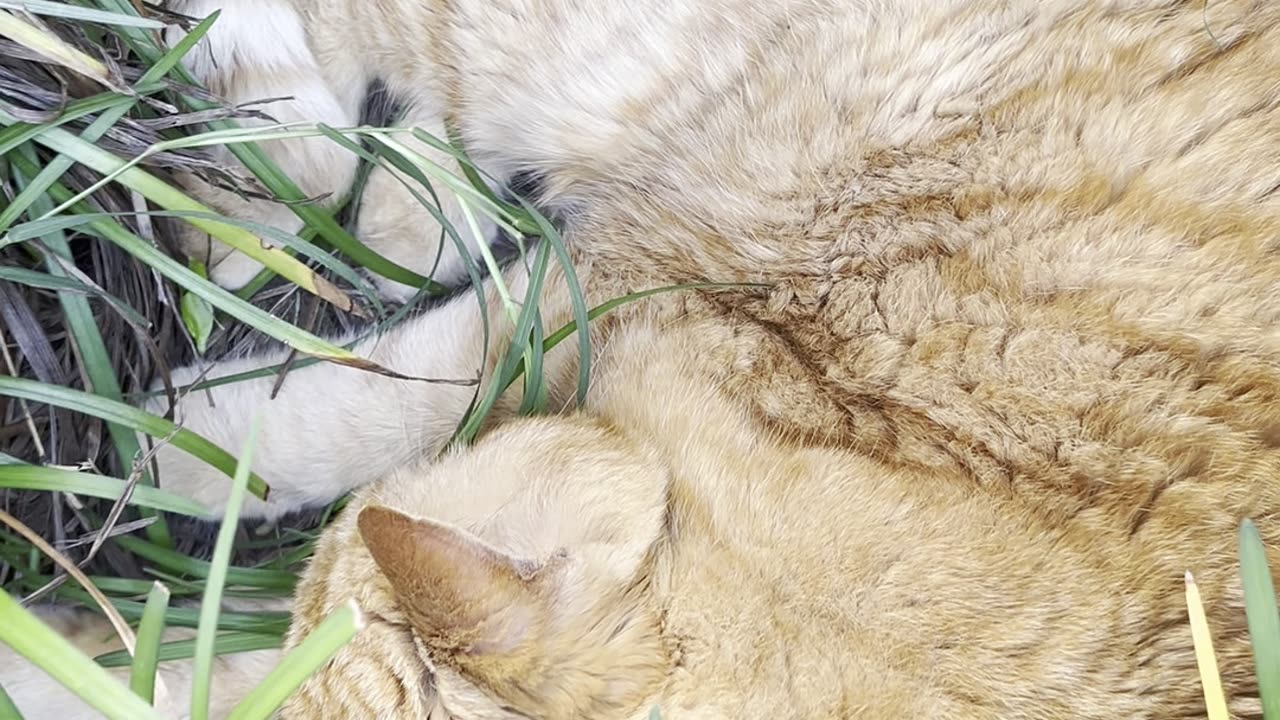 Sweet dreams.