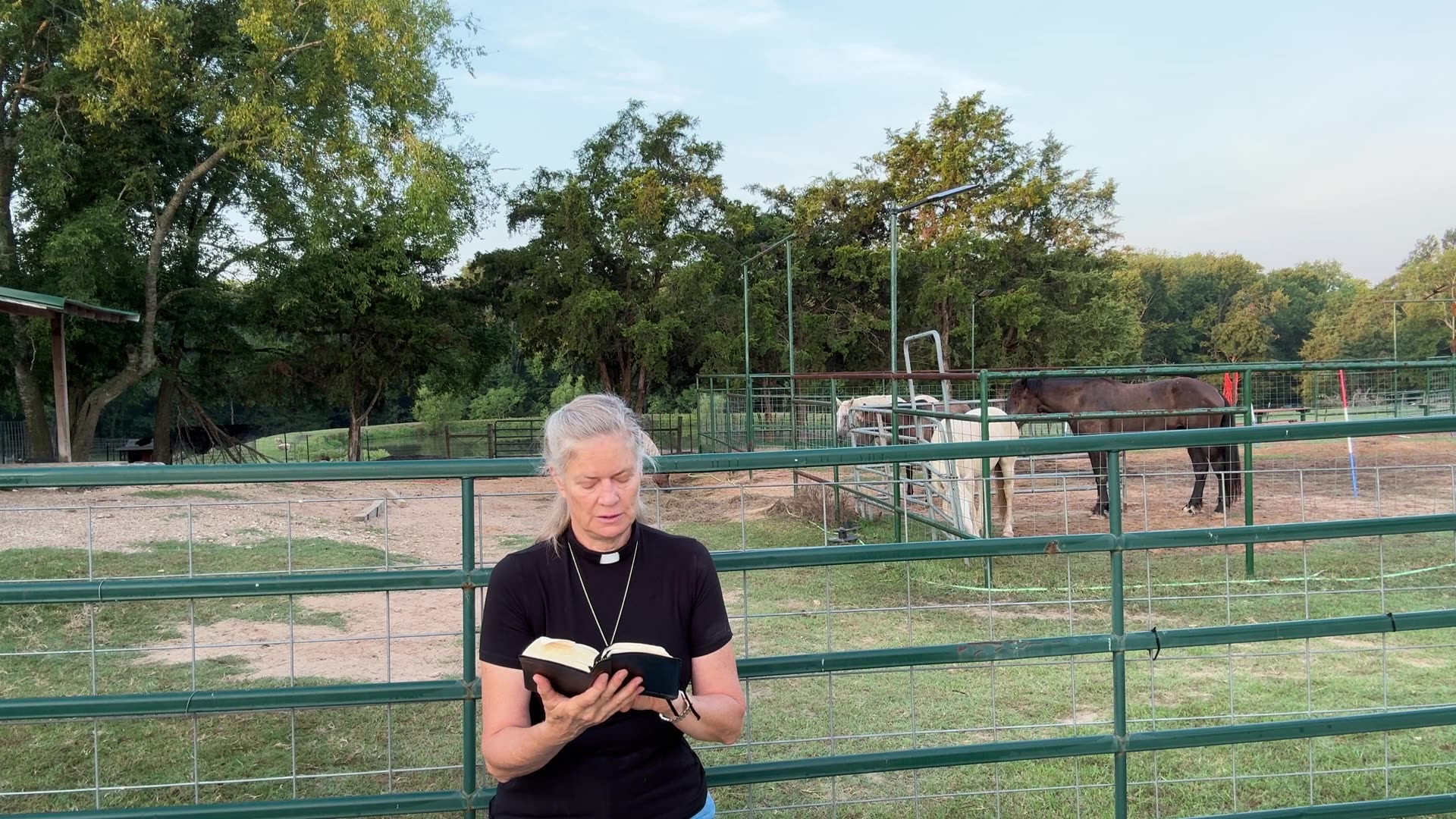 Morning Prayer, Daily Office