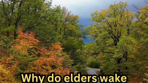 Old Age Sleeplessness Facts#SleepFix 😴 #BetterRest 💤 #NightHack 🌙 #DreamBig 🛌 #RelaxNow 🧘