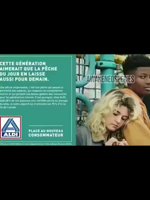 Notate lo schema????