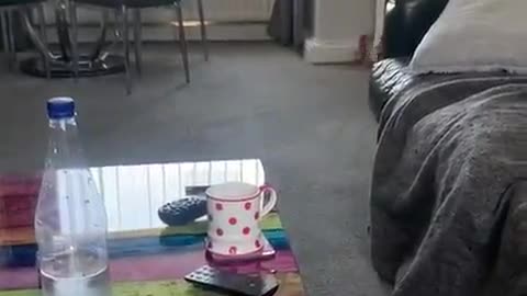 Mom Dragged Out by Son