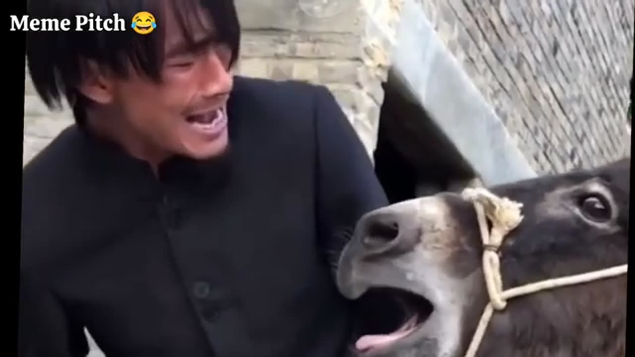 Cant do anything but laugh