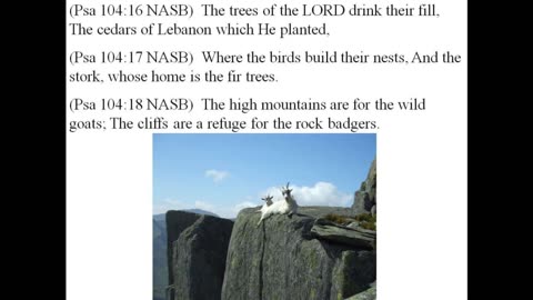 Psalms 104 – If a church encourages sin, don’t you want to know?!! Are we to be non-critical?