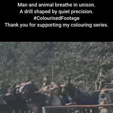 Cavalry Gas Readiness Camp Upton WW1 #ColourisedHistory