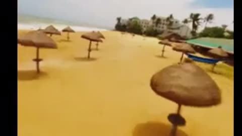Paradise of the Indian Ocean