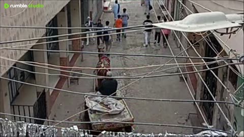 على المباشر