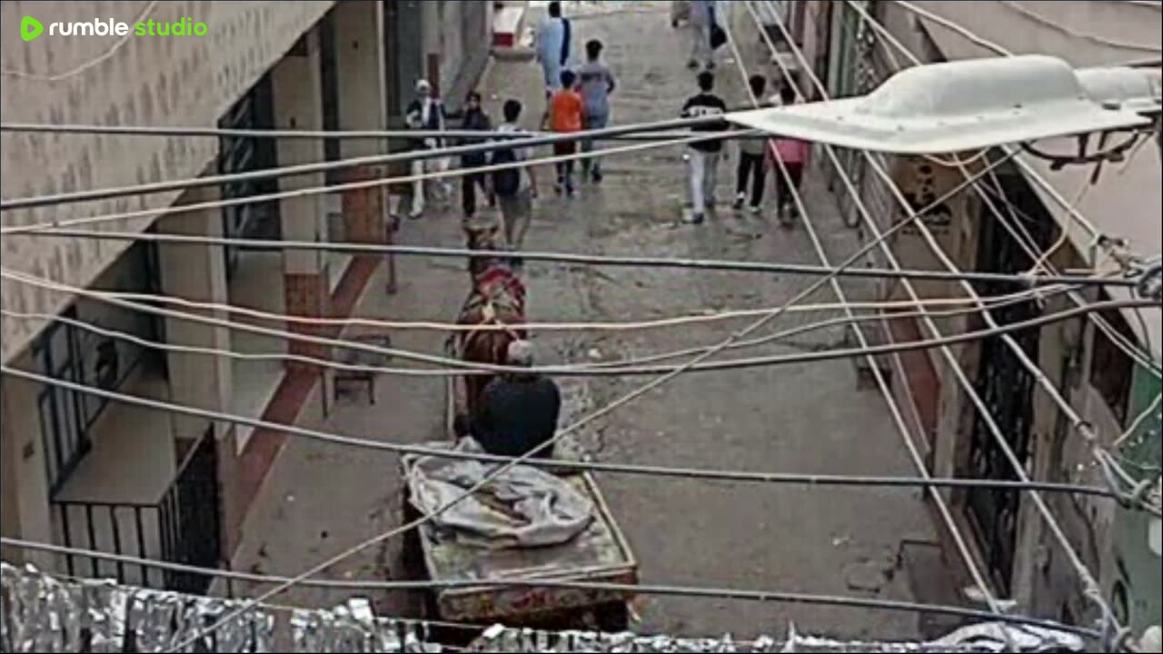 على المباشر