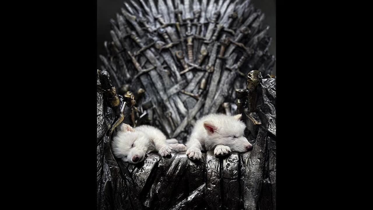 DE-EXTINCTION! SCIENTISTS RESURRECT AN EXTINCT SPECIES TO CREATE A HYBRID RACE & HUMANS ARE NEXT!