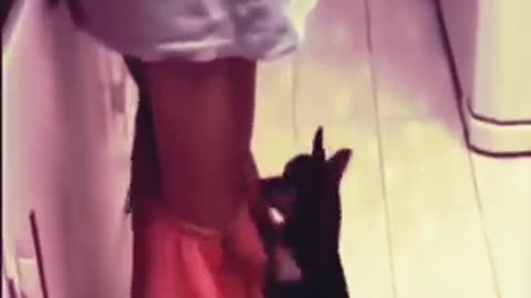 Try not to laugh
