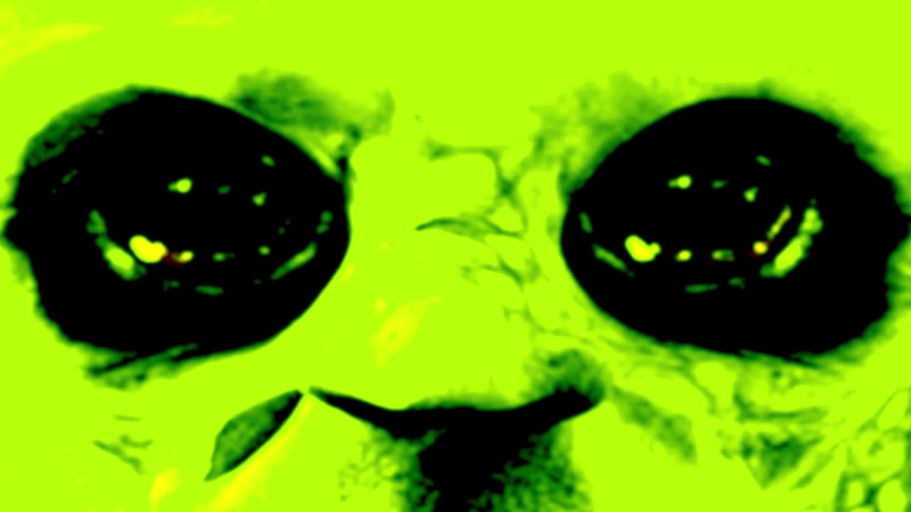 My Final Gnome Sighting Video