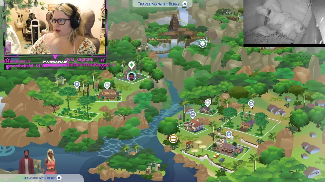 Chicken Live Stream
